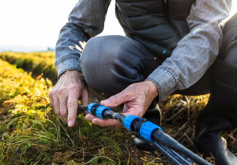 Drainage System Repairs