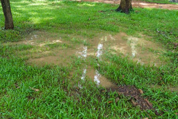 Cost of Storm Water Drainage Service in Breckenridge