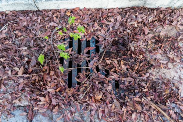 Cost of Yard Drain Unclogging in Breckenridge
