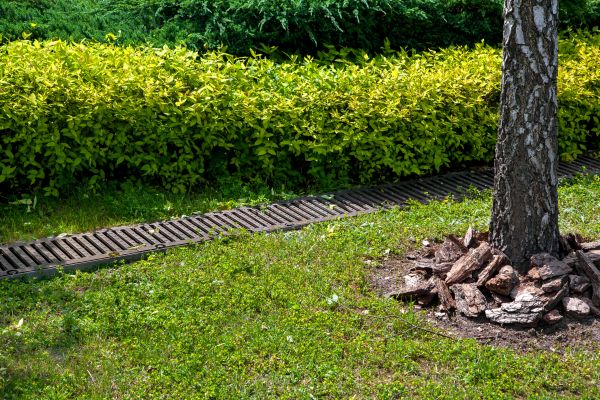Cost of Residential Landscape Drainage in Breckenridge
