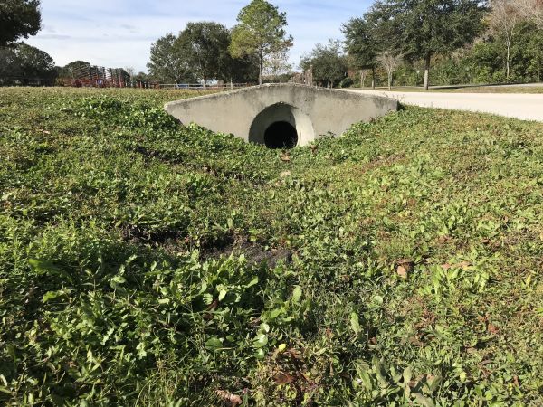 Cost of Swale Drainage Service in Breckenridge